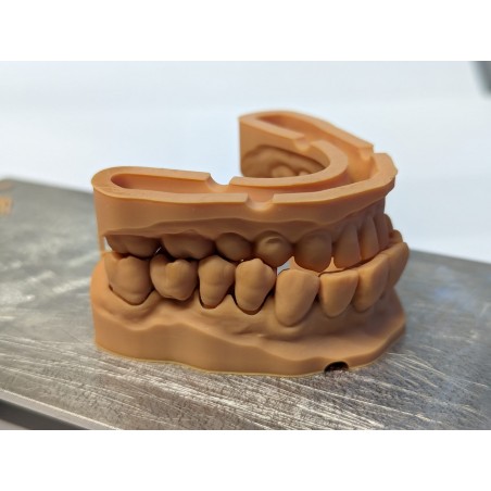 BlueCast FAST DENTAL MODEL LCD/DLP