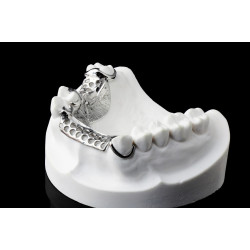 BlueCast BLUE DENTAL CAST LCD/DLP