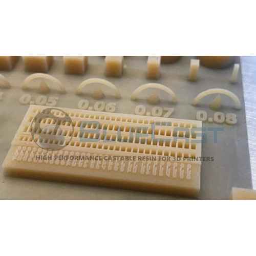 BlueCast LCD DLP Dental Model