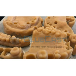 BlueCast LCD DLP Dental Model