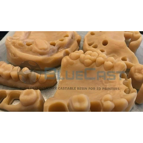 BlueCast LCD DLP Dental Model