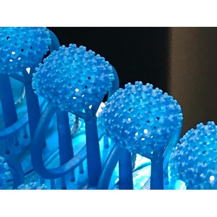 Phrozen Shuffle BLUECAST powered