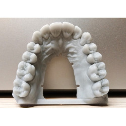 BlueTech EcoGray LCD/DLP