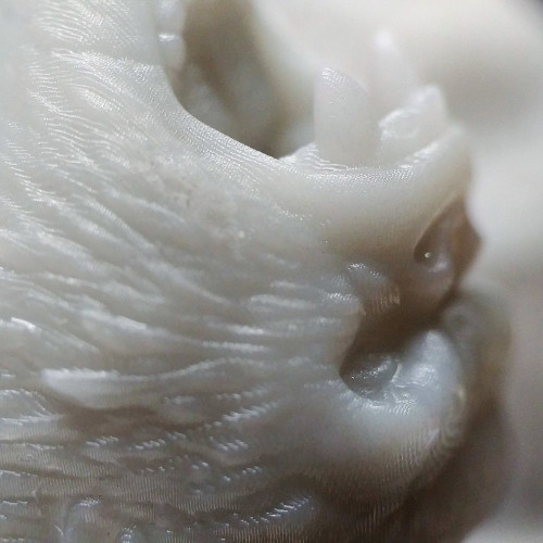 BlueTech EcoGray LCD/DLP