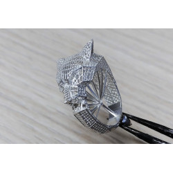 BlueCast X10 LCD/DLP