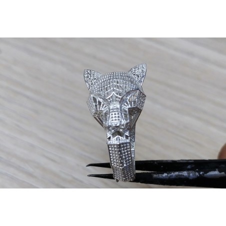 BlueCast X10 LCD/DLP