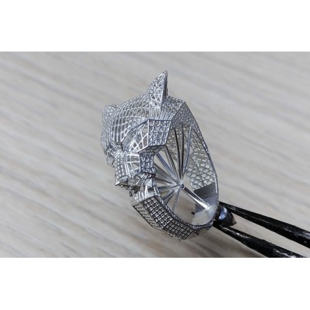 BlueCast X10 LCD/DLP