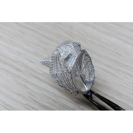 BlueCast X10 LCD/DLP