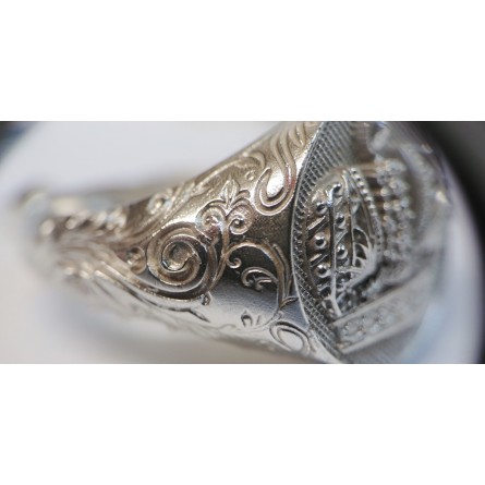 BlueCast Cr3a LCD Resina Fondibile