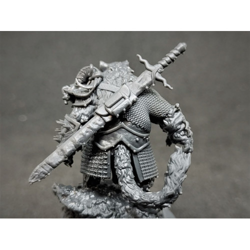 BlueCast Model HR LCD/DLP 1kg