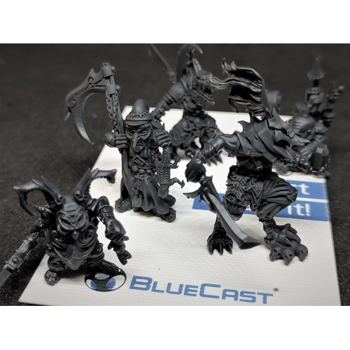 BlueCast Model HR LCD/DLP 1kg