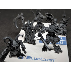 BlueCast Model HR LCD/DLP 1kg