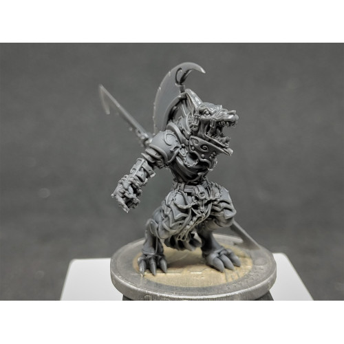 BlueCast Model HR LCD/DLP 1kg