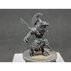 BlueCast Model HR LCD/DLP 1kg